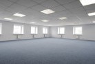 Dingo Forestskylights-3.jpg; ?>